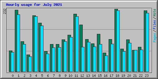Hourly usage for July 2021