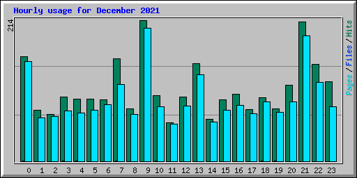 Hourly usage for December 2021