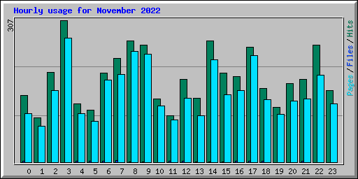 Hourly usage for November 2022