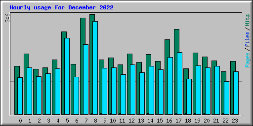 Hourly usage for December 2022