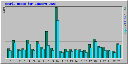 Hourly usage for January 2023