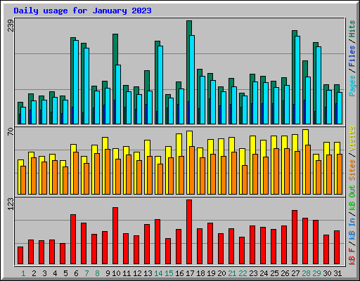 Daily usage for January 2023