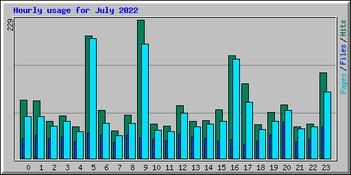 Hourly usage for July 2022