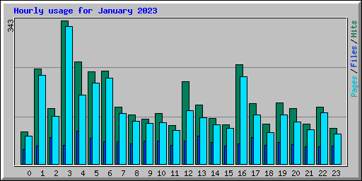 Hourly usage for January 2023