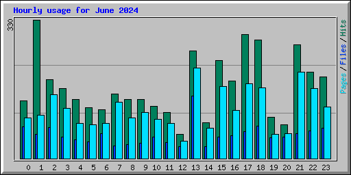 Hourly usage for June 2024