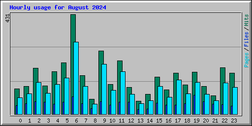 Hourly usage for August 2024