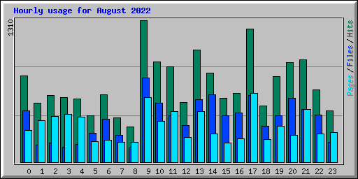 Hourly usage for August 2022