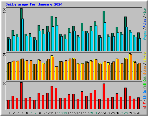 Daily usage for January 2024