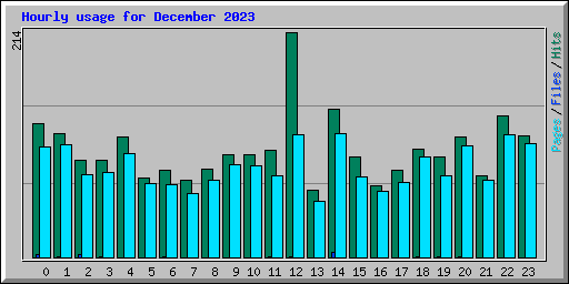 Hourly usage for December 2023