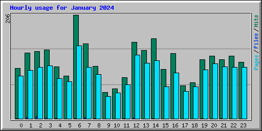 Hourly usage for January 2024