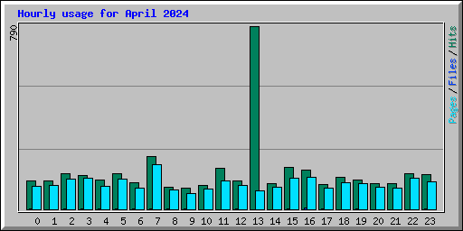 Hourly usage for April 2024