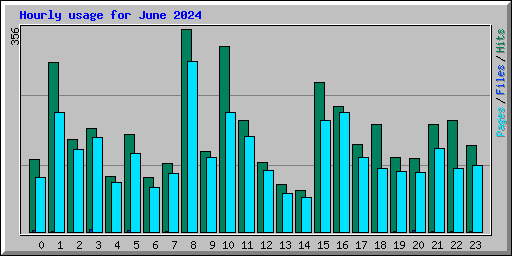 Hourly usage for June 2024