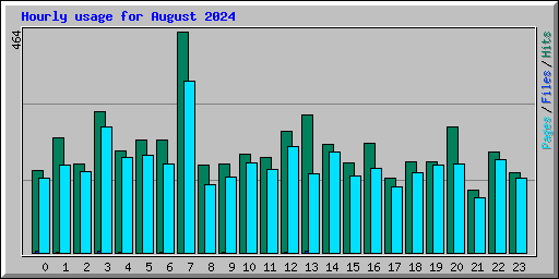 Hourly usage for August 2024